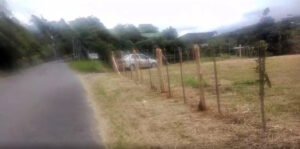 Propiedad 500 m2 en Coris carretera a Patarra 1