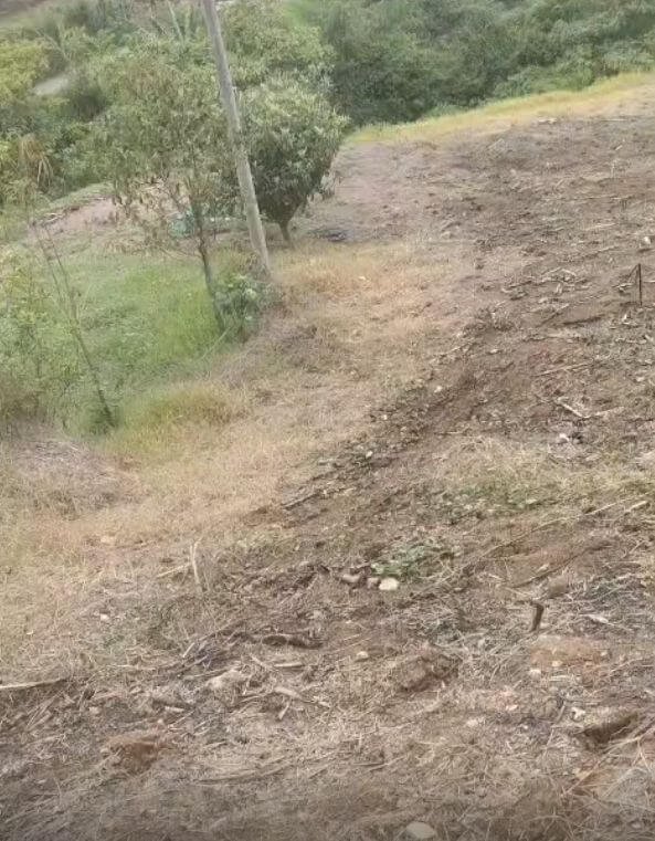 Terreno 1400m2 en montaña Coris de Cartago