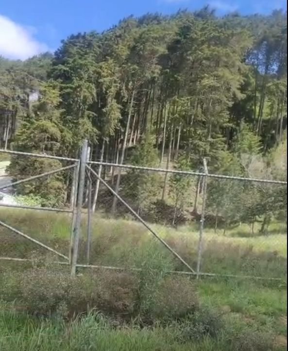 Terreno 6500m2 plano Bermejo de Cartago