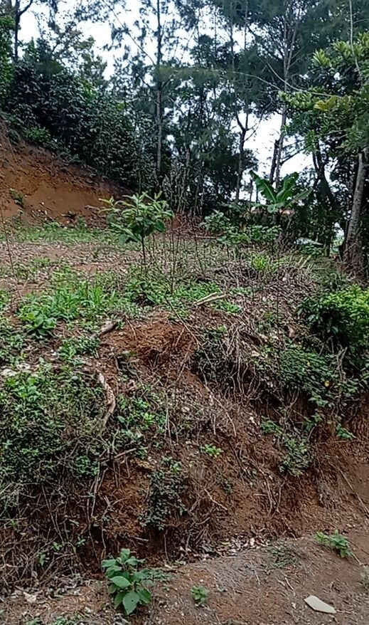Vista 2 - Terreno 600m² Bermejo