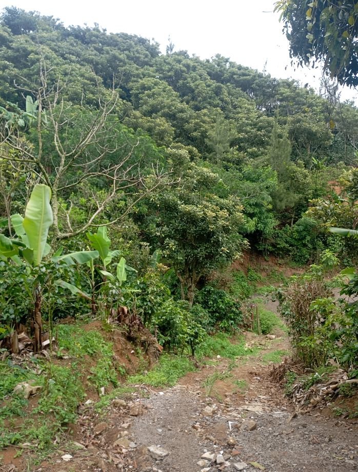Propiedad 11000m² inversión flexible