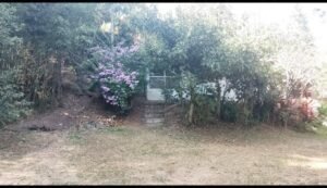 Propiedad Finca en Coris de Cartago 4 hectareas