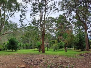 Finca Quebradilla para proyecto